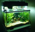 Как сделать аквариум самостоятельно